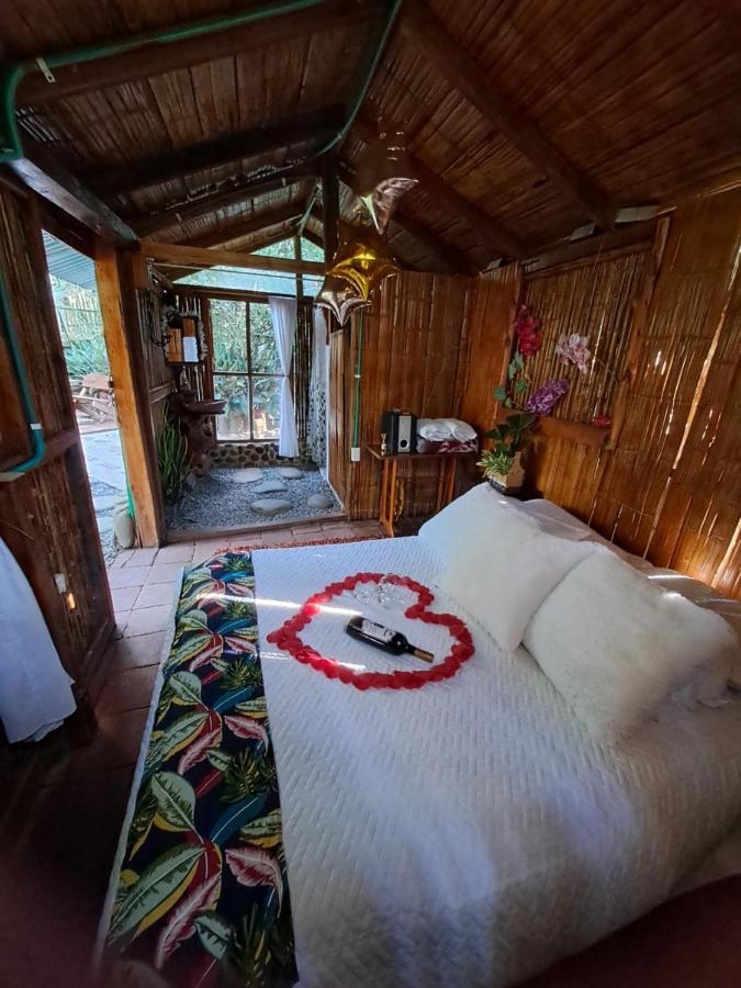 Villa Sonia Eco-Hostel Gigante Екстериор снимка
