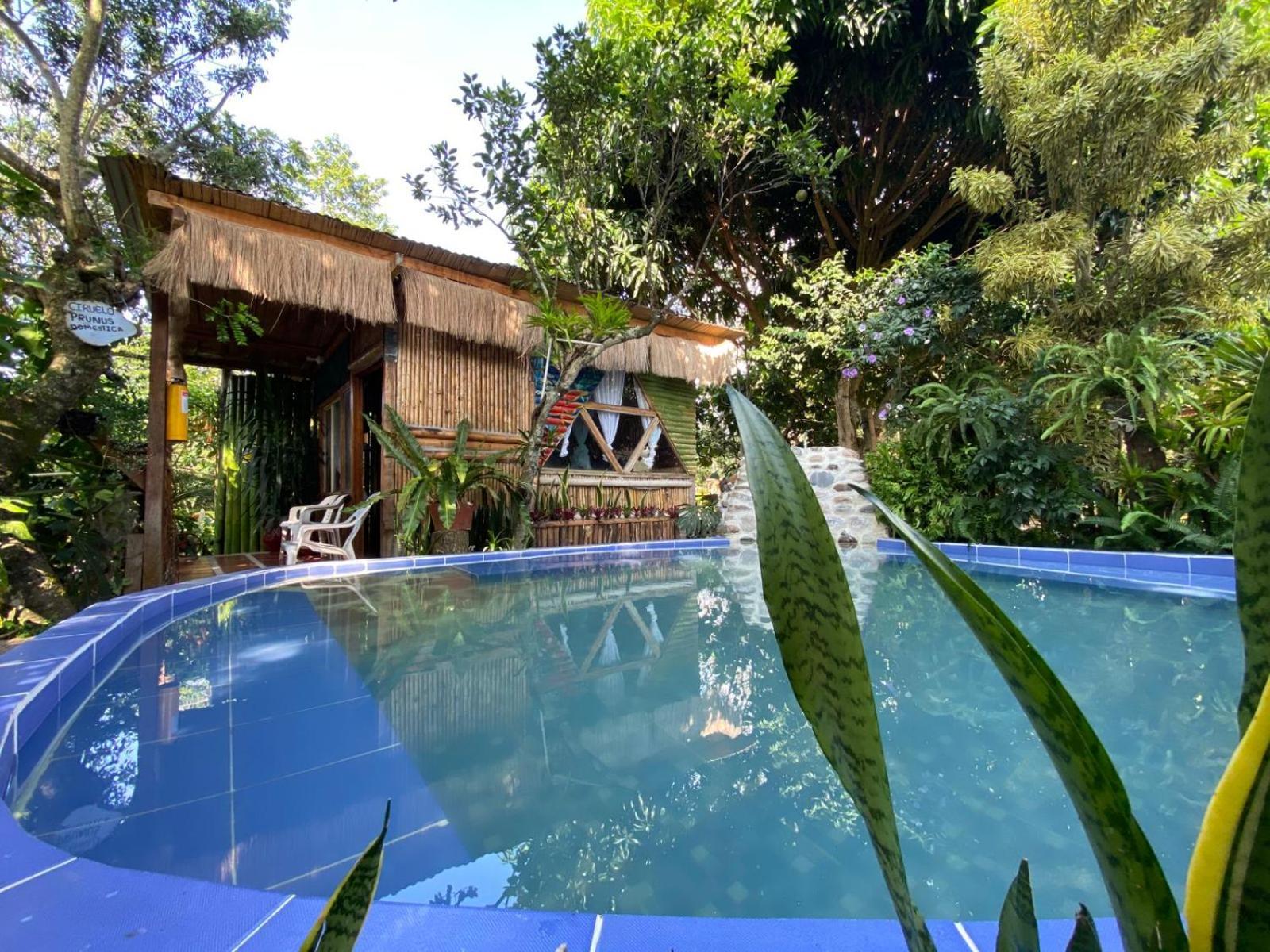Villa Sonia Eco-Hostel Gigante Екстериор снимка