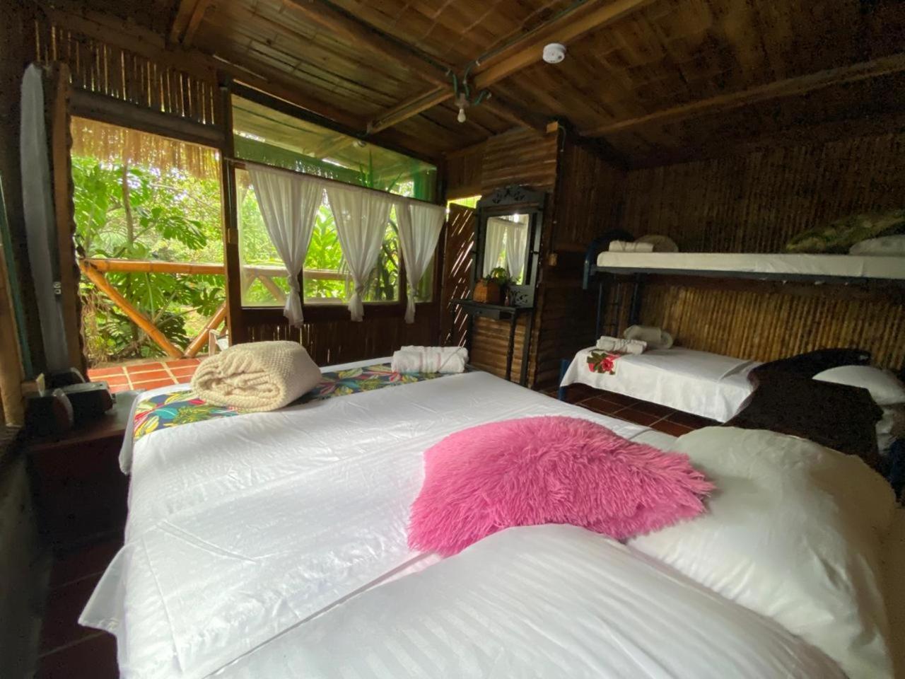 Villa Sonia Eco-Hostel Gigante Екстериор снимка