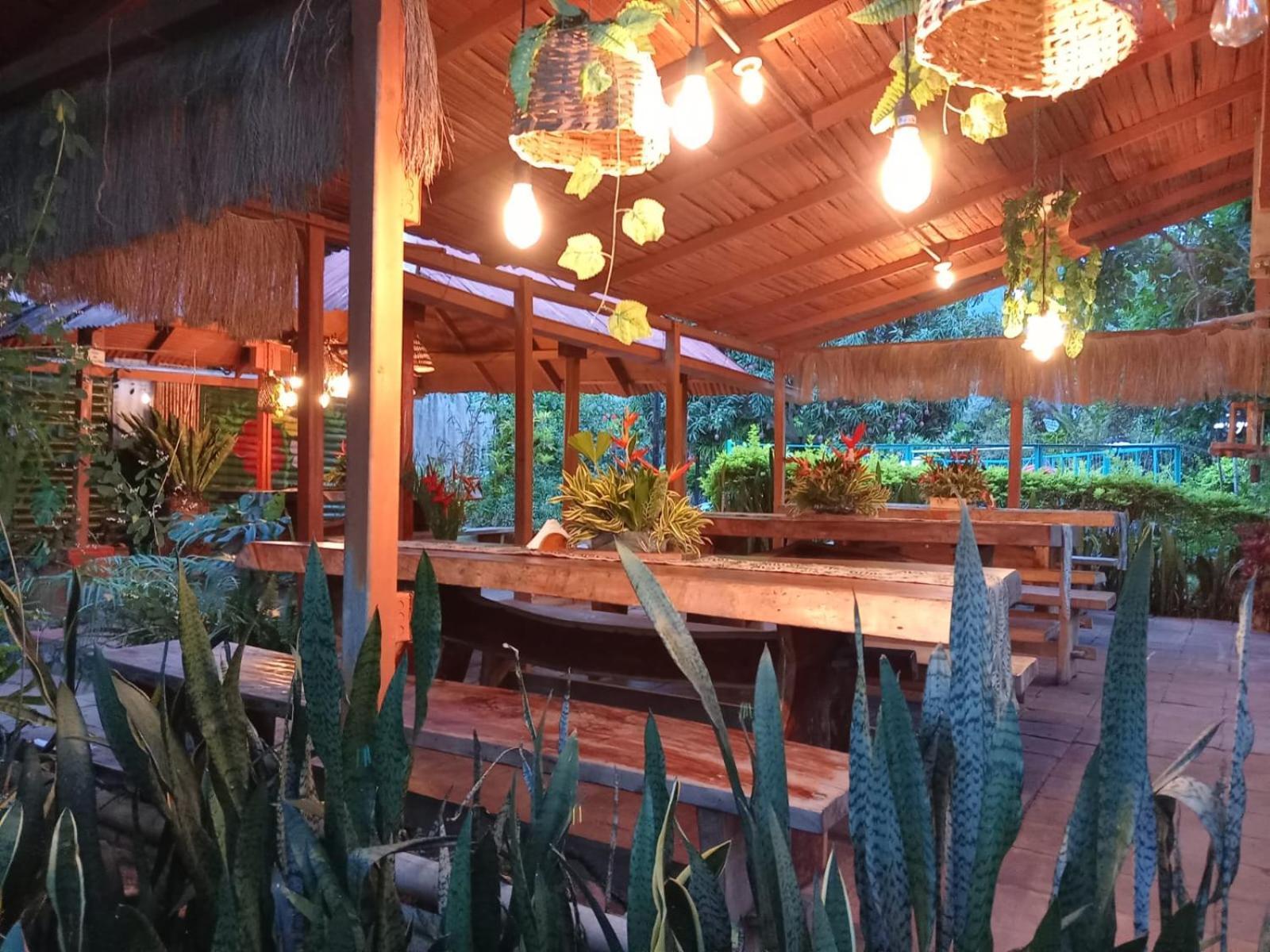 Villa Sonia Eco-Hostel Gigante Екстериор снимка