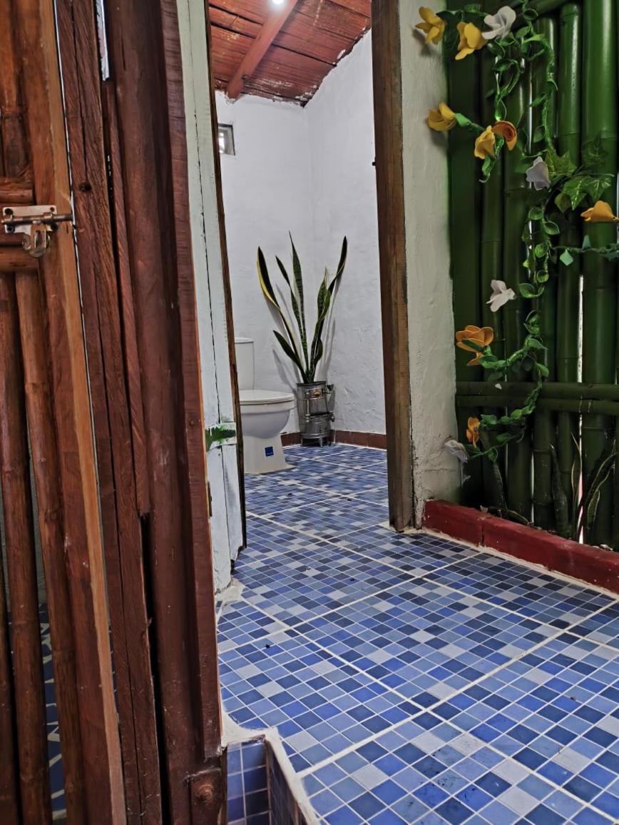 Villa Sonia Eco-Hostel Gigante Екстериор снимка
