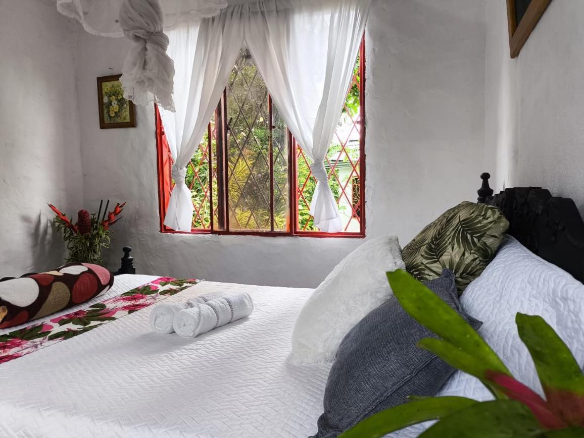 Villa Sonia Eco-Hostel Gigante Екстериор снимка