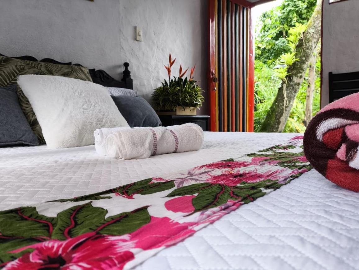 Villa Sonia Eco-Hostel Gigante Екстериор снимка